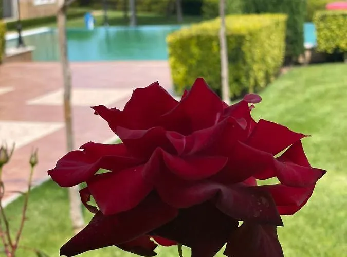 Provence Deluxe In Atia Апартамент *