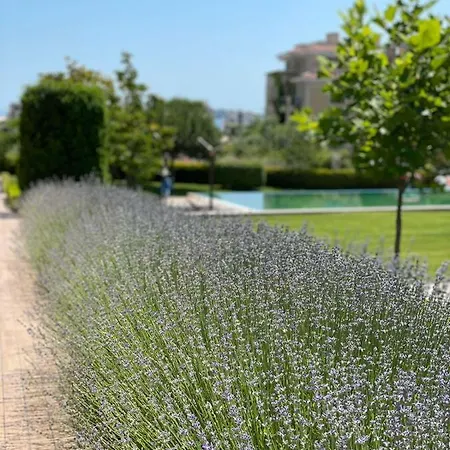 Provence Deluxe In Atia Апартаменты *
