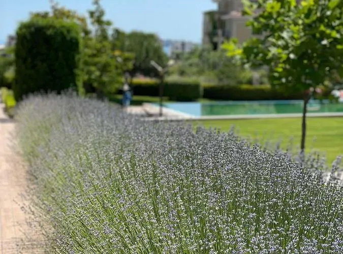 Provence Deluxe In Atia Apartament *